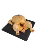 POLLO CAMPERO