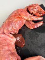 CONEJO ENTERO CON CABEZA DE 1kg~1,1kg aprox. - Imagen 4