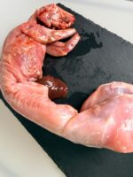 CONEJO ENTERO CON CABEZA DE 1kg~1,1kg aprox. - Imagen 2