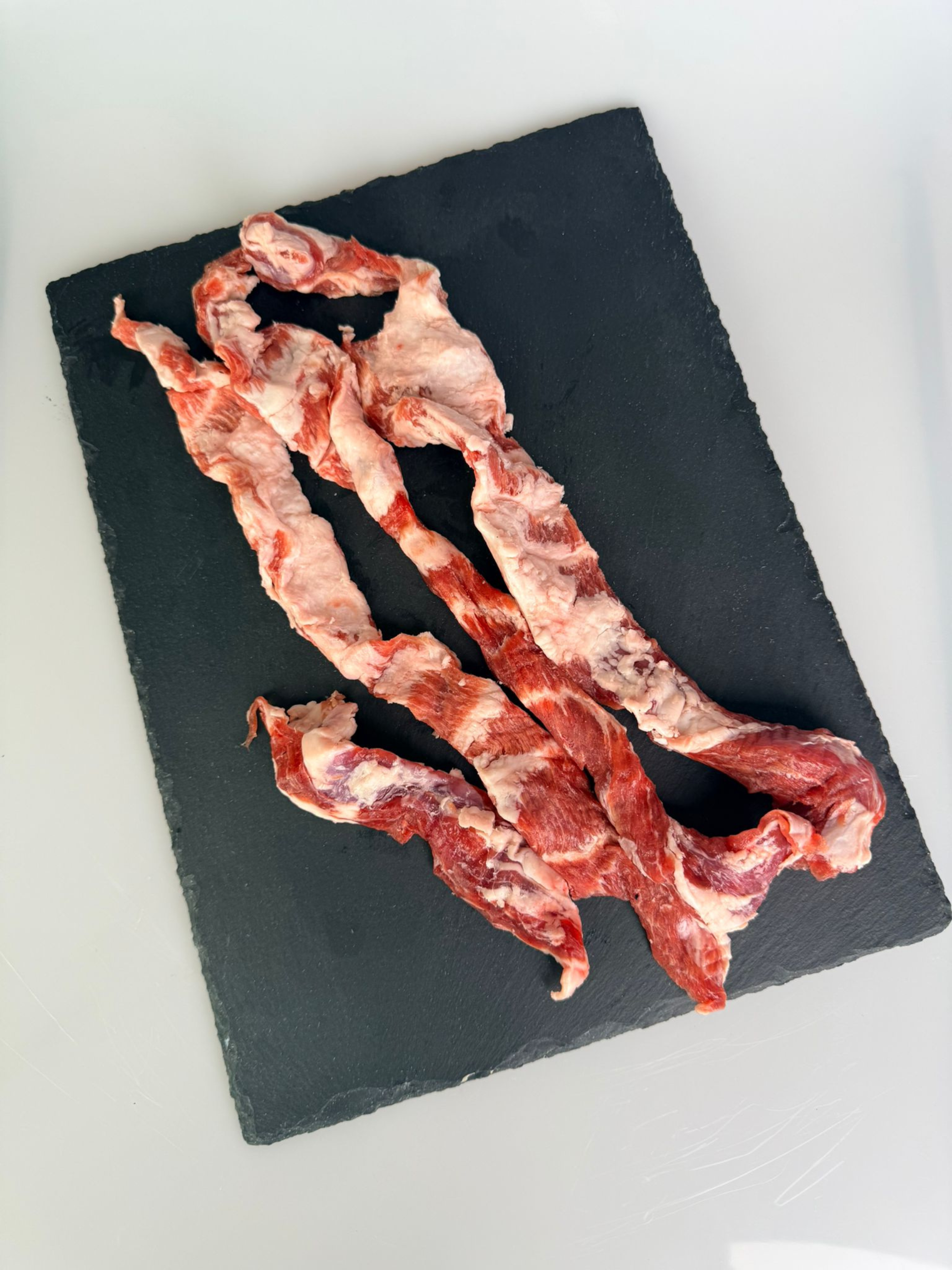 lagarto ibérico lagarto ibérico