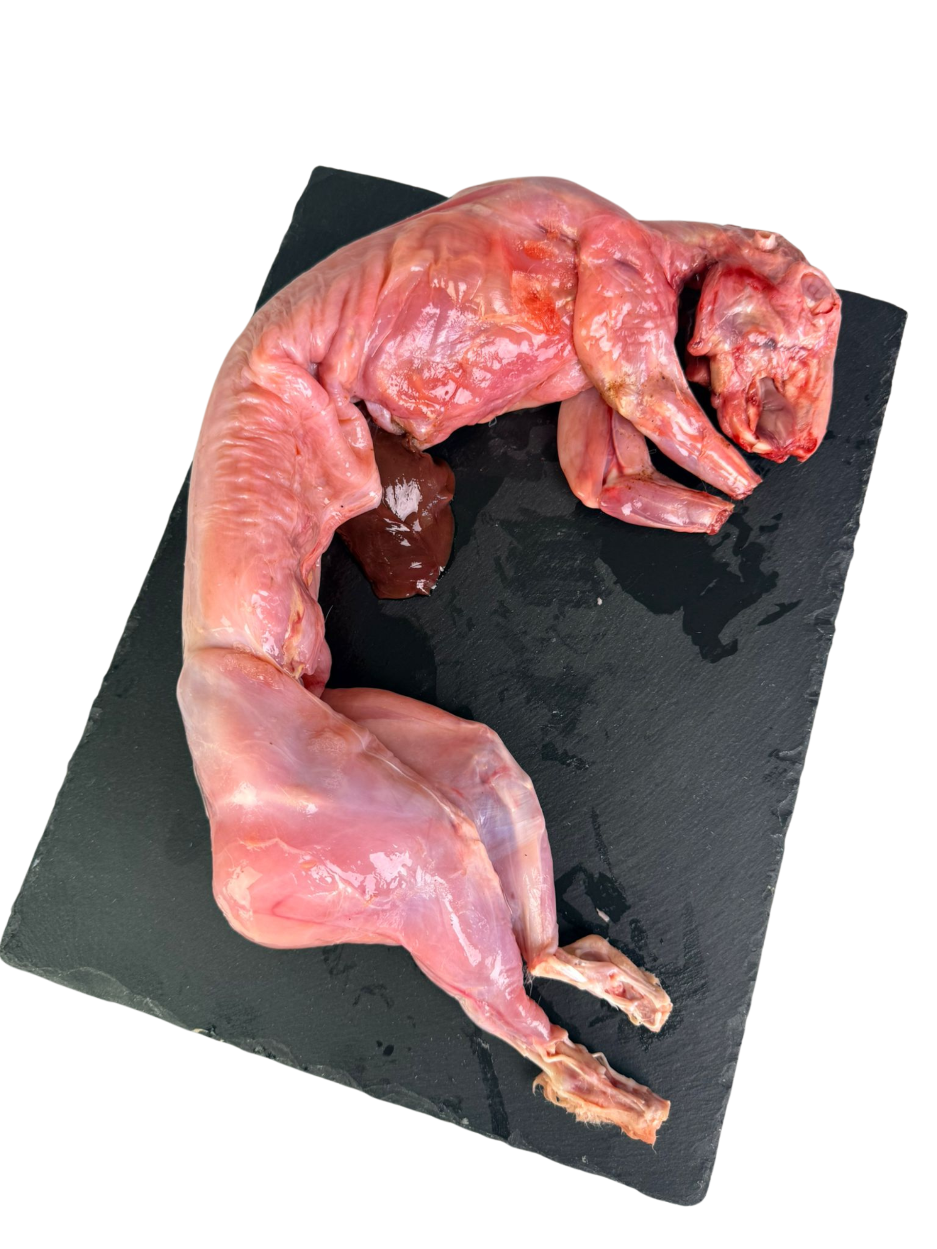 Untitled design (19) CONEJO ENTERO CON CABEZA DE 1kg~1,1kg aprox. - Imagen 1