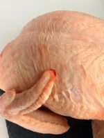 GALLINA ENTERA - Imagen 2