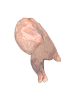 Comprar pavo entero navidad