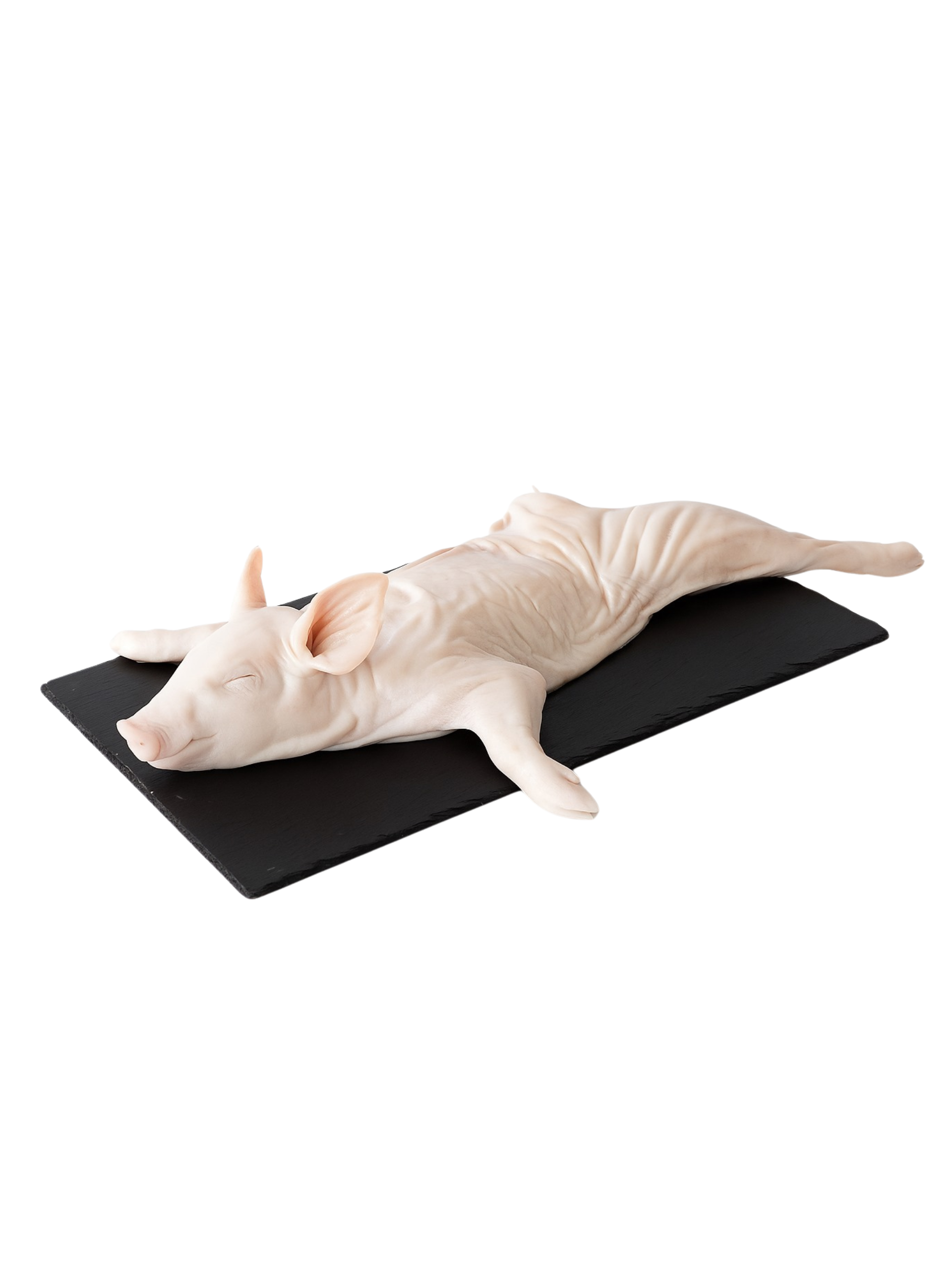 Projekt bez nazwy (2) COCHINILLO DE 4 A 5 KILOS - Imagen 1