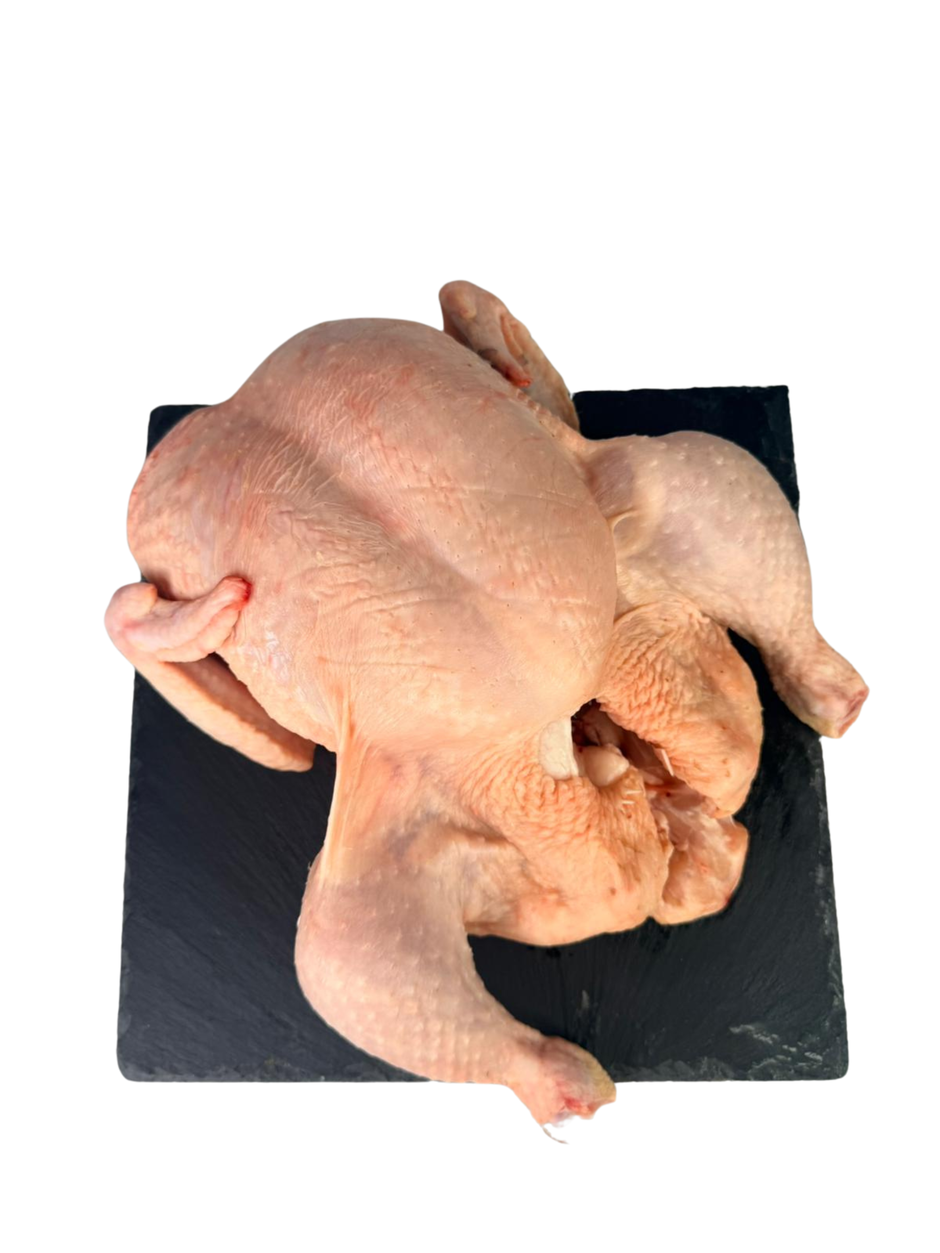 Untitled design (2) GALLINA ENTERA - Imagen 1