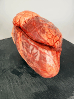 CORAZÓN DE AÑOJO - Imagen 2