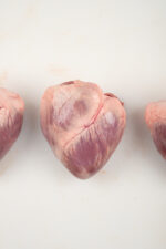 Corazón de Cerdo - Imagen 4