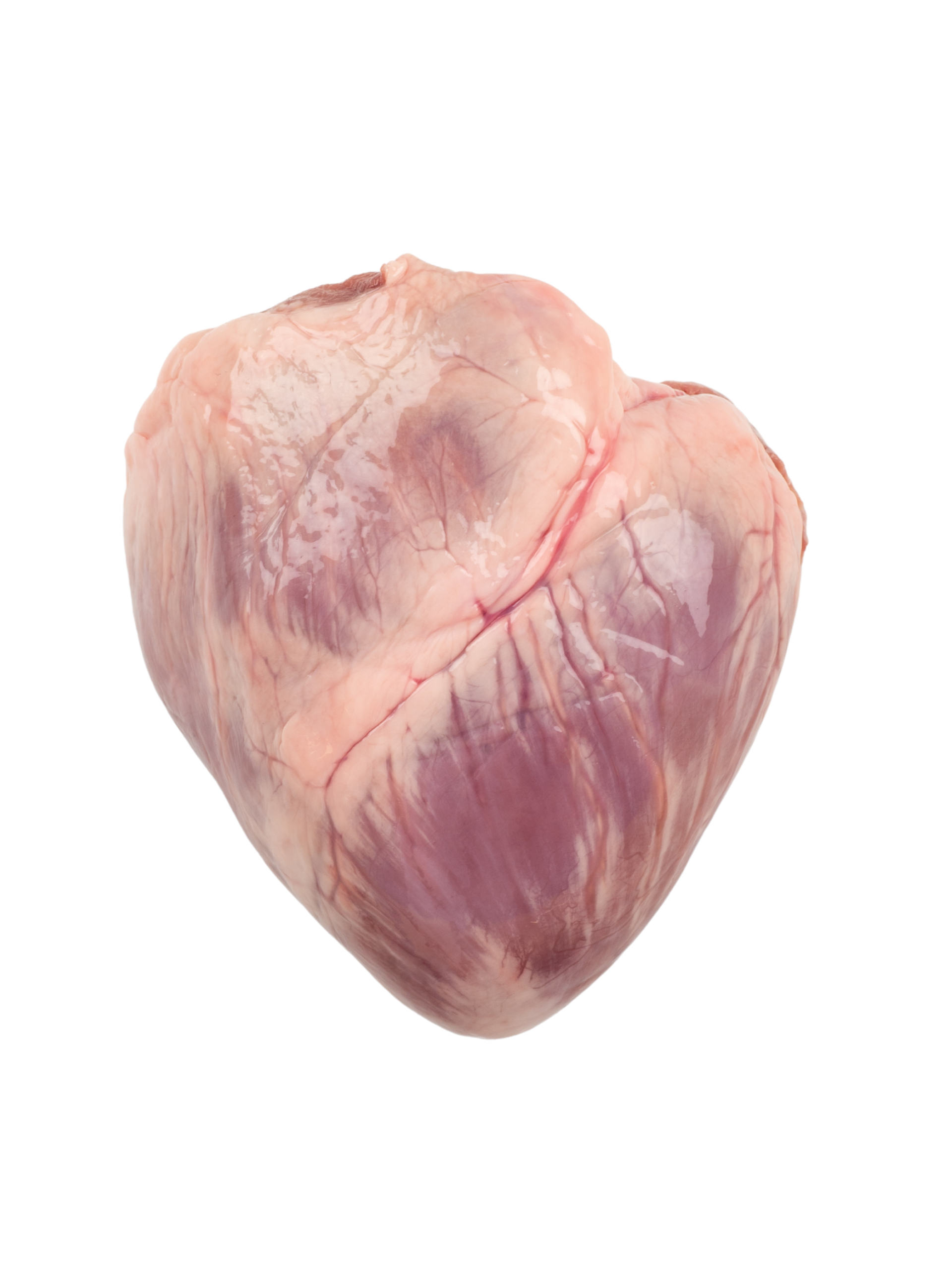 corazon de cerdo corazon de cerdo