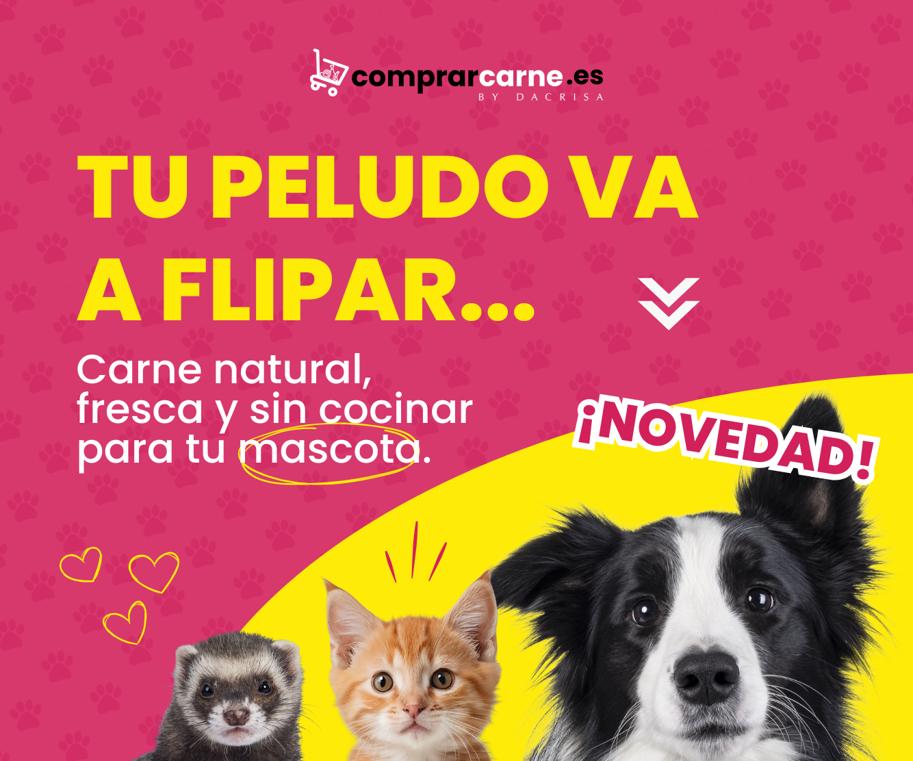 Banner móvil comprarcarne comida Mascotas